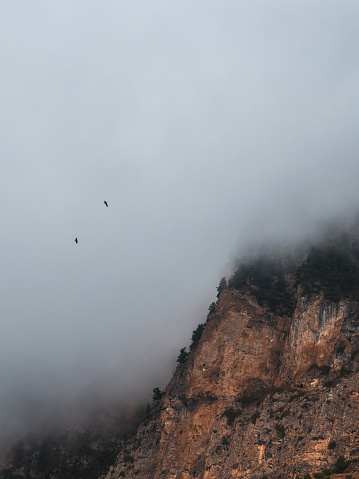 High rock in low clouds and flying crows. Dramatic alpine scenery with great rocks and mountains in dense low clouds. Beautiful view to mountain peaks over thick clouds. Vertical minimalistic view.