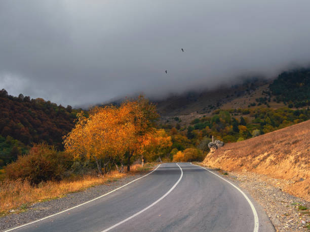 Empty morning highway through the pass in thick fog. Beautiful asphalt freeway, motorway, highway through of caucasian landscape mountains hills at cold weather in mid october. Ingushetia.