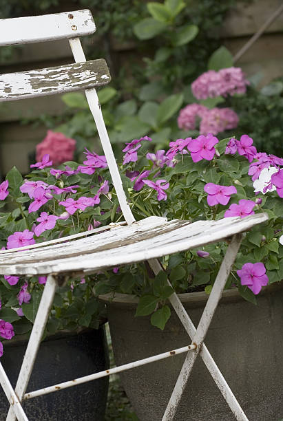 White chair and Flowers stock photo