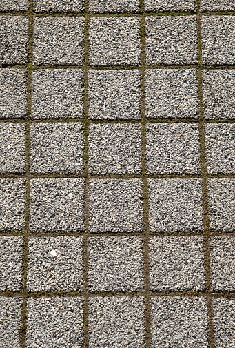 Small cement tiles with moss in the joints