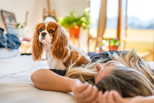 Adult woman lying in bed with her dog and enjoying the moment