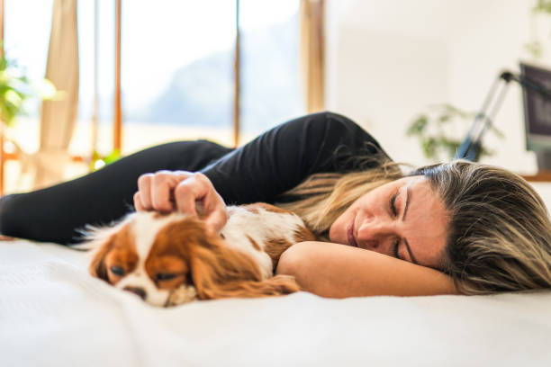 взрослая женщина, лежащая в постели со своей собакой и наслаждающаяся моментом - day in the life стоковые фото и изображения