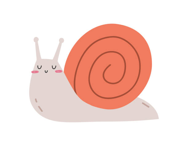 illustrations, cliparts, dessins animés et icônes de illustration d’escargot mignon - escargot