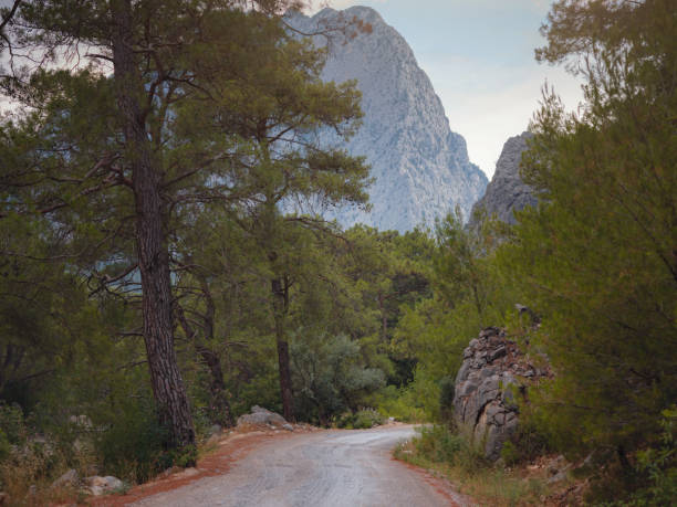 forest mountains in summer evening in Antalya Turkey. concept of adventure and travel