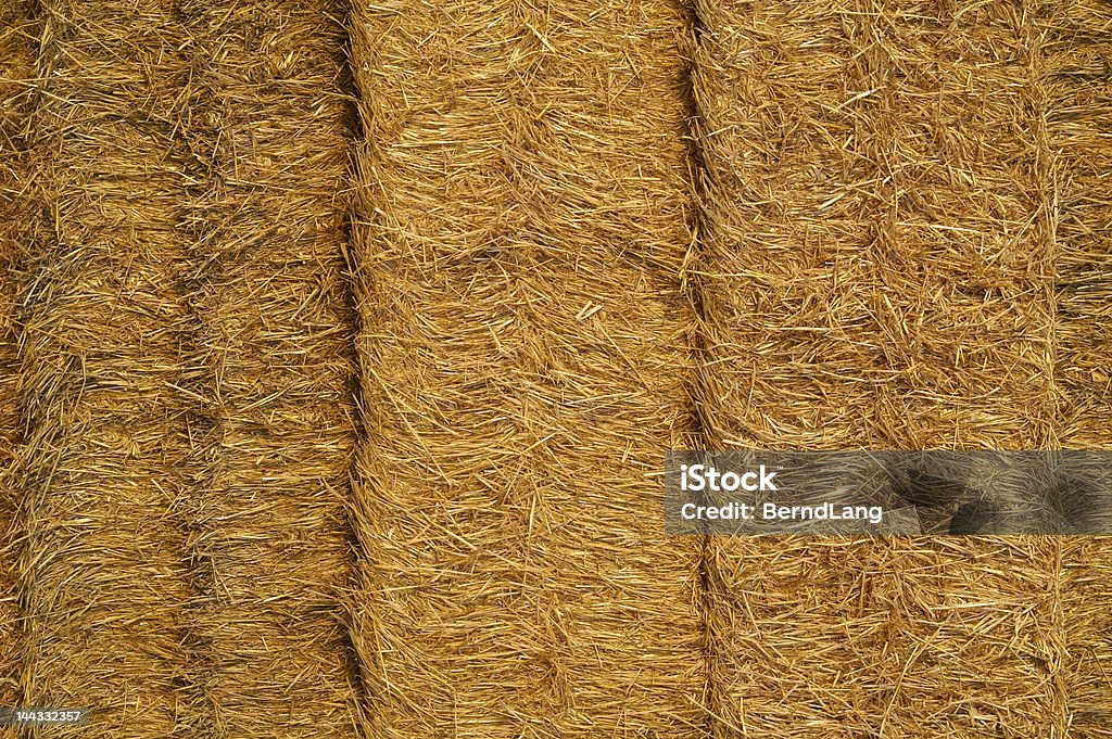 Canudo - Foto de stock de Agricultura royalty-free