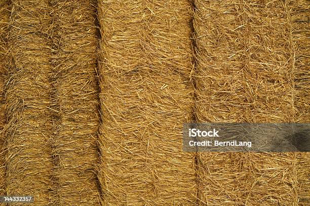 Foto de Canudo e mais fotos de stock de Agricultura - Agricultura, Amarelo, Bege