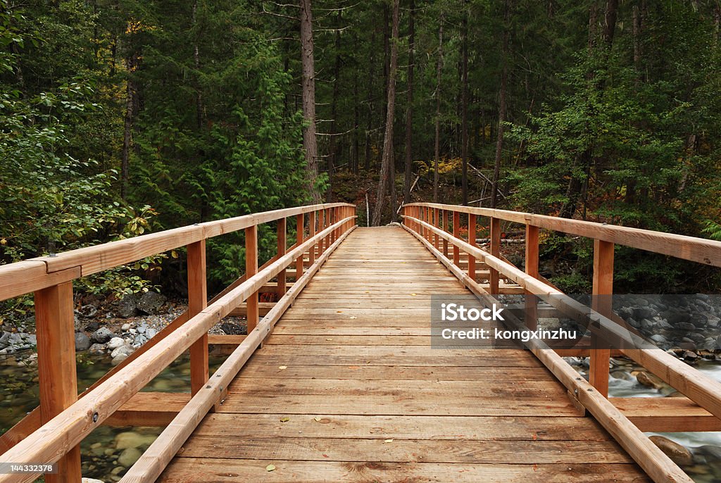 Puente de madera en el bosque - Foto de stock de Actividades recreativas libre de derechos