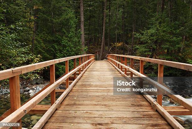 Ponte Di Legno Nella Foresta - Fotografie stock e altre immagini di Acero - Acero, Albero, Ambientazione esterna