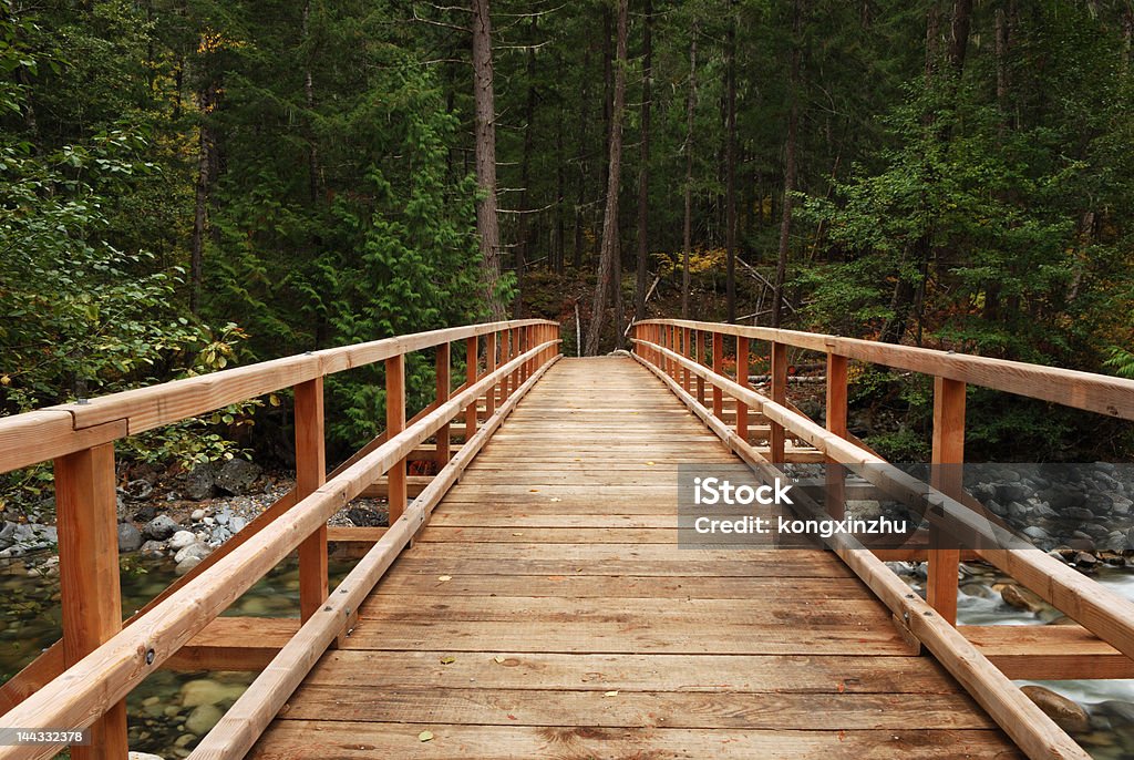 Drewno Most w lesie - Zbiór zdjęć royalty-free (Drewno - Tworzywo)