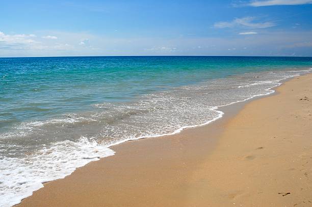 istock whitewash on tropical caribbean island 144332391