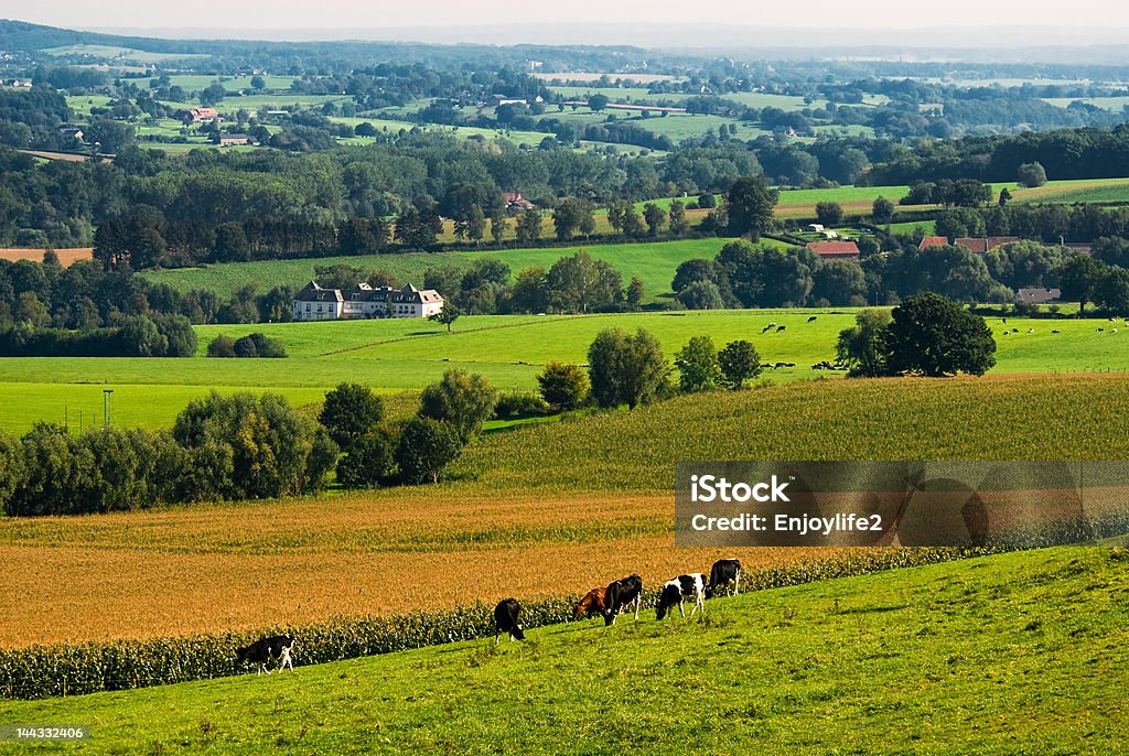 landscape in autumn beautiful farmland landscape in autumn Agricultural Field Stock Photo