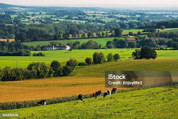 Landscape In Autumn Stock Photo - Download Image Now - Agricultural Field, Agriculture, Animal
