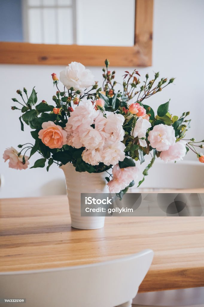 Freshly cut pale pink English rambling rose in white vase Beautiful light pink English rose in a white jug vase on wooden dining table Bouquet Stock Photo