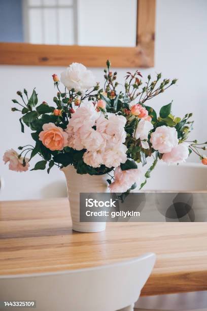 Freshly Cut Pale Pink English Rambling Rose In White Vase Stock Photo - Download Image Now