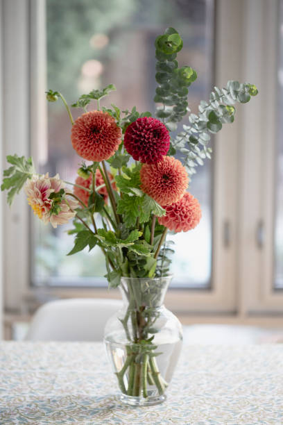 dahlienstrauß - bouquet flower autumn vase stock-fotos und bilder