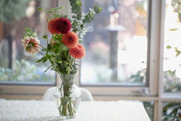 Flower, bouquet, Dahlia, home interior