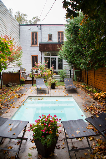 Back yard, autumn, swimming pool,  autumn leaf color