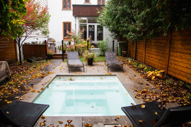 Back yard, autumn, swimming pool,  autumn leaf color