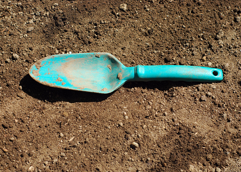 Closeup of a hard plastic hand shovel on soil in the sunshine.
