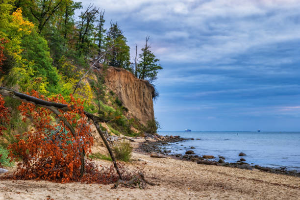 istock Orlowo Cliff And Beach At Baltic Sea In Gdynia 1443326614