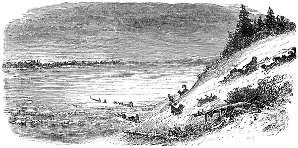 Dogsled teams traveling across the tundra of Alaska, USA. Vintage etching circa 19th century.