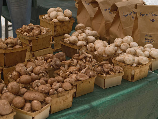 Mushrooms in Market