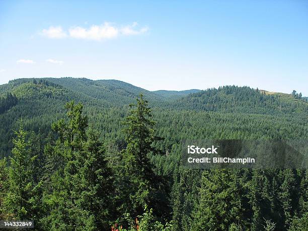 Foto de Floresta E Sky e mais fotos de stock de Colina - Colina, Céu - Fenômeno natural, Estado de Washington