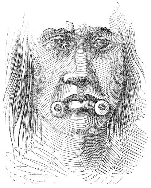 inuvialuit mann mit lippen labret schmuck - 19. jahrhundert - labret stock-grafiken, -clipart, -cartoons und -symbole