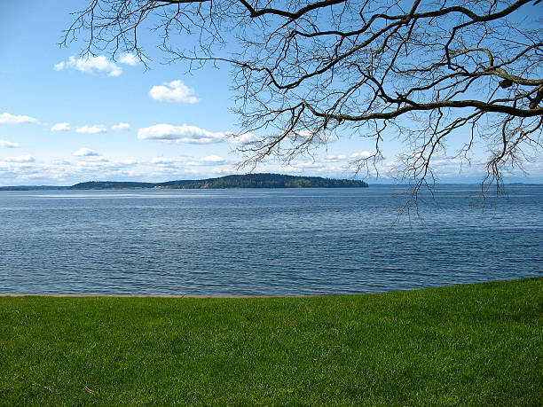 istock Puget Sound from Steilacoom 144332855