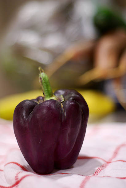 Heirloom Tomato stock photo