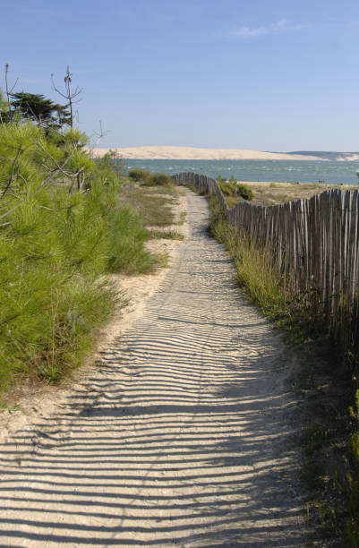 istock the way to the beach 1443330435