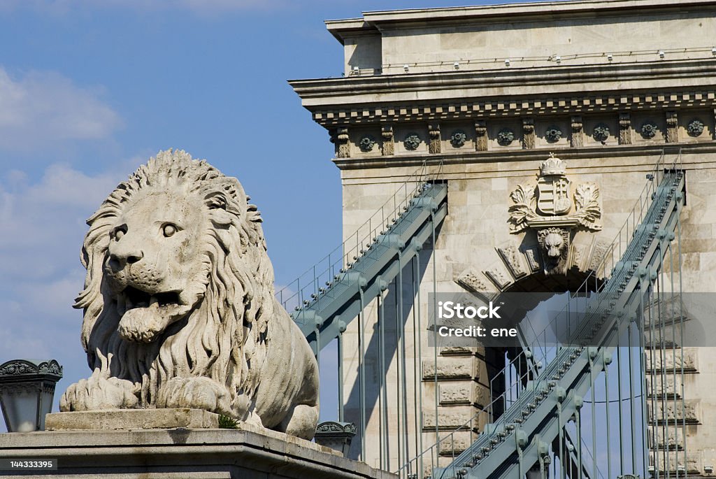 Most łańcuchowy w Budapeszcie - Zbiór zdjęć royalty-free (Budapeszt)