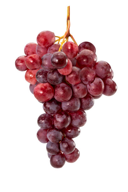 grappolo di uva fresca rossa matura - red grape grape fruit sweet food foto e immagini stock