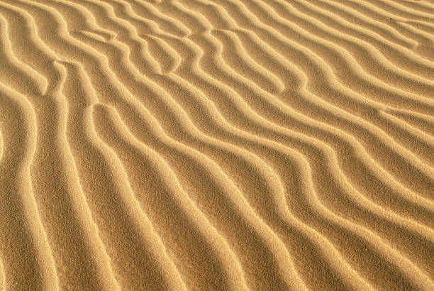 pliegues forma en la duna de arena - sand dune sand orange california fotografías e imágenes de stock