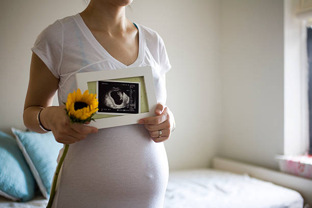 Ultrasound Picture Pregnant Woman Holding Ultrasound Picture and Sunflower home birth photos stock pictures, royalty-free photos & images