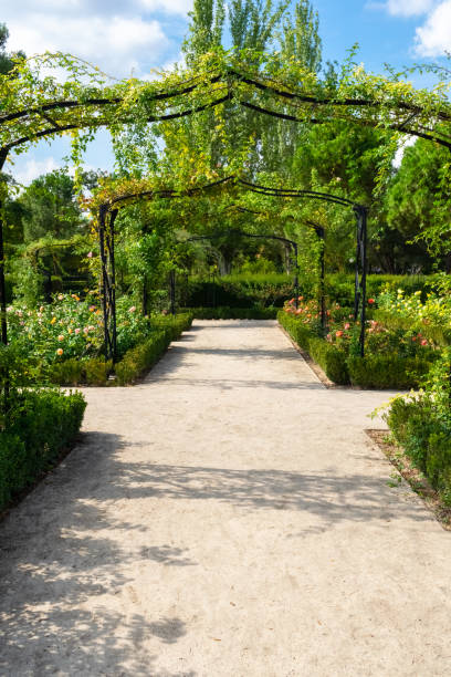 istock Arches in the Rosaleda park. Madrid - Spain 1443336276