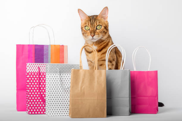 gatto domestico tra pacchetti multicolori su sfondo bianco. - domestic cat bag shopping gift foto e immagini stock