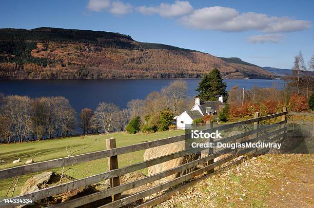 Photo libre de droit de Loch Tay banque d'images et plus d'images libres de droit de Rivière Tay - Rivière Tay, Arbre, Automne