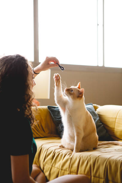 istock woman interacts with her pet cat 1443345591
