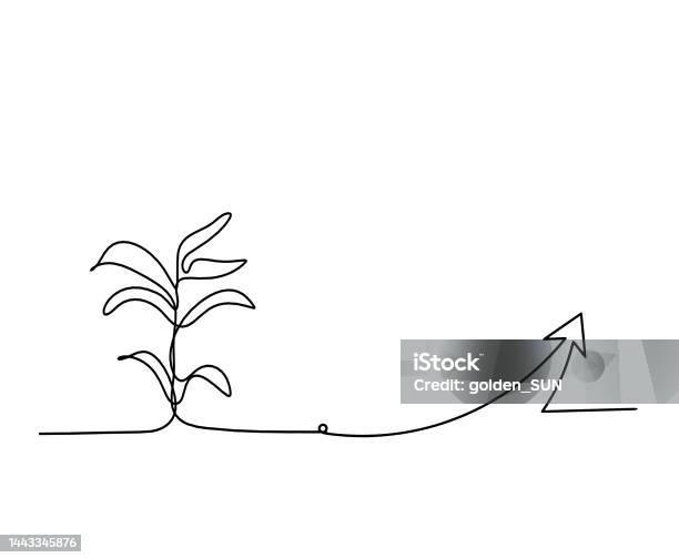 Direction Tree Design Abstract Tree With Direction As Line Drawing On The White Background ...