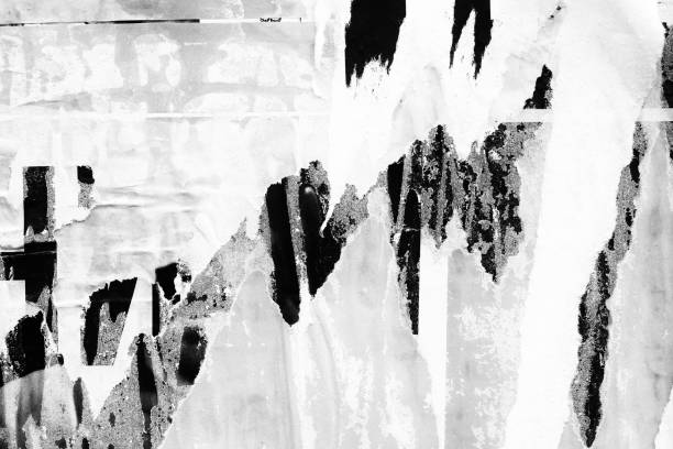 istock Blank white black old ripped torn paper crumpled creased posters grunge textures backdrop backgrounds placard 1443345890