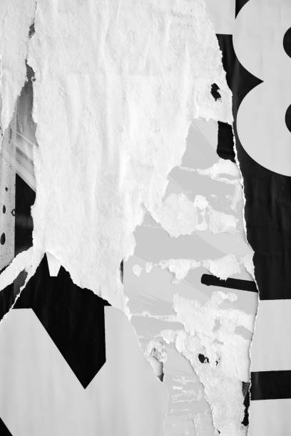 istock Blank white black old ripped torn paper crumpled creased posters grunge textures backdrop backgrounds placard 1443346045