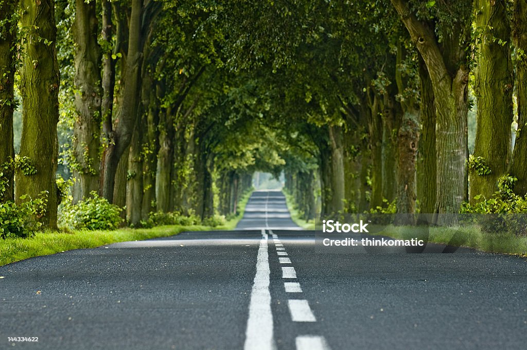 Albero del tunnel - Foto stock royalty-free di Albero