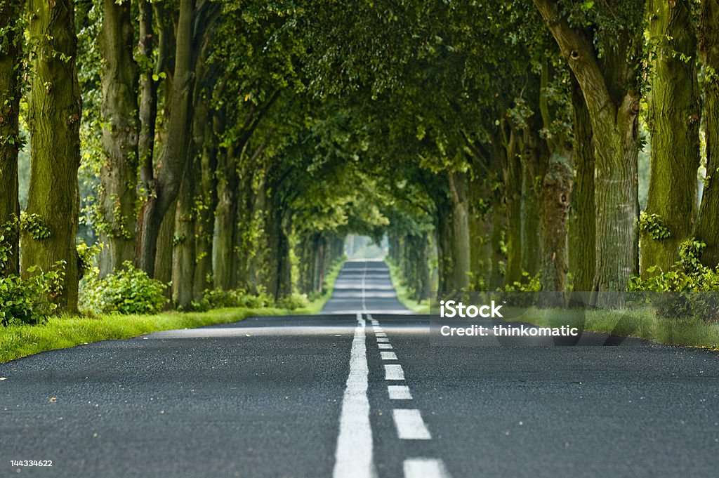 Árvore de túnel - Royalty-free Alfalto Foto de stock