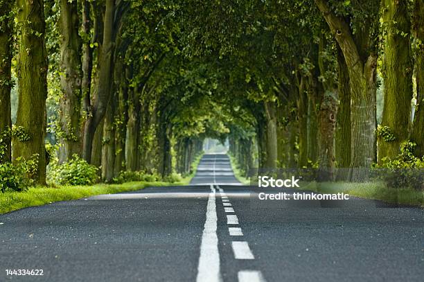 Árvore De Túnel - Fotografias de stock e mais imagens de Alfalto - Alfalto, Cena Não Urbana, Cena Rural