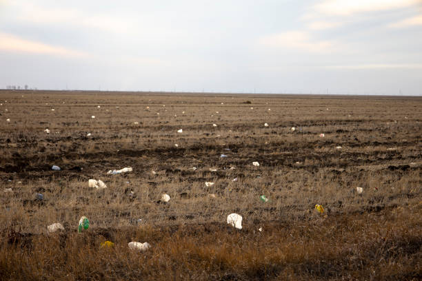 istock There is a lot of garbage in the sown fields, ecology. 1443348691