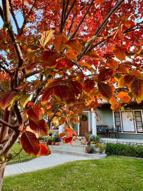 Craftsman home with fall leaves
