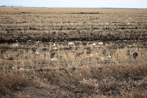 istock There is a lot of garbage in the sown fields, ecology. 1443349539