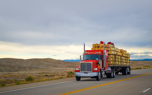 Red  semi transporting wood timber in Utah, USA