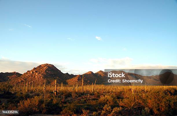 Sonorawüste Stockfoto und mehr Bilder von Abenddämmerung - Abenddämmerung, Arizona, Berg